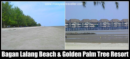Bagan Lalang Beach and Golden Palm Tree Resort & Spa