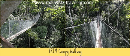 FRIM Canopy Walkway FRIM Canopy Walkway