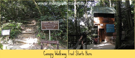 The trail to the FRIM Canopy Walk starts here. The trail to the FRIM Canopy Walk starts here.