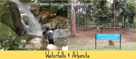 There are plenty of attractions at FRIM besides the Canopy Walkway. There are plenty of attractions at FRIM besides the Canopy Walkway.