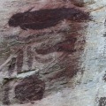 Gua Tambun Cave Paintings