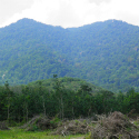 Gunung Datuk