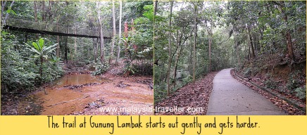 The start of the Gunung Lambak trail. The start of the Gunung Lambak trail.