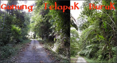 The path up Gunung Telapak Buruk