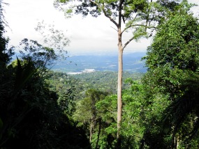View from Gunung Telapak Buruk View from Gunung Telapak Buruk