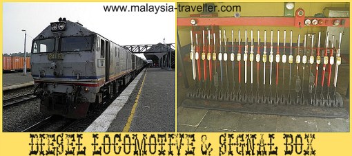 Jungle Railway Jungle Railway