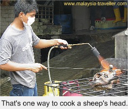 Sheep Searing? Sheep Searing?