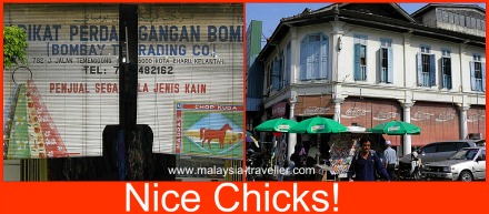 Bamboo Chicks, Kota Bharu Bamboo Chicks, Kota Bharu