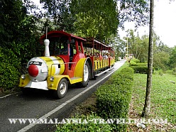 Tram Ride at Bukit Melawati