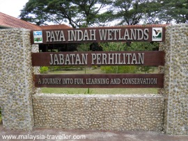 Paya Indah Wetlands near Putrajaya, Malaysia