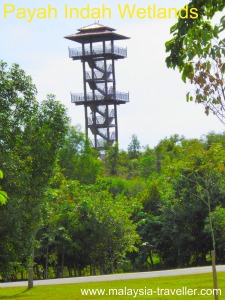 Lookout Tower, Paya Indah Wetlands