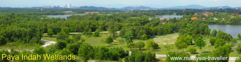 View from Lookout Tower, Paya Indah Wetlands