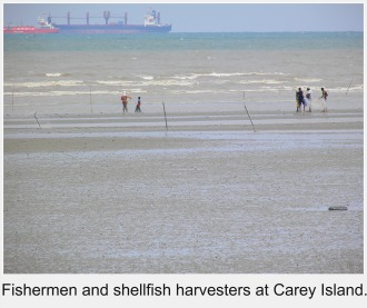 Fisherfolk and shellfish harvesters at Carey Island. Fisherfolk and shellfish harvesters at Carey Island.