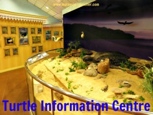 Turtle Information Centre, Rantau Abang Turtle Information Centre, Rantau Abang