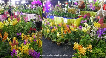 Floria 2012 Floria 2012