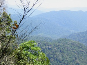 Gunung Angsi Gunung Angsi