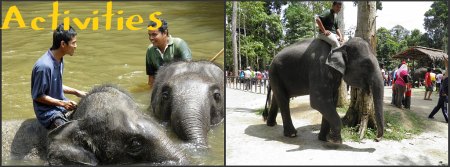 Kuala Gandah Elephant Sanctuary Kuala Gandah Elephant Sanctuary