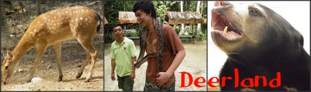 Deerland Deerland