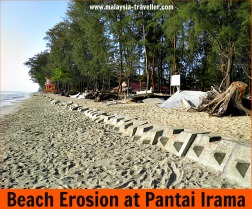 Pantai Irama - Beach Erosion Pantai Irama - Beach Erosion