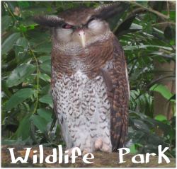 Sunway Lagoon Wildlife Park