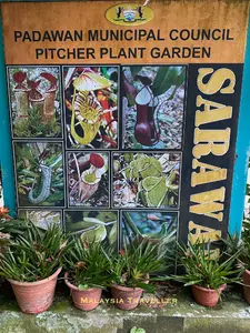 sign showing various pitcher plant species