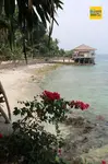 pulau-rawa-bougainvilla.jpg