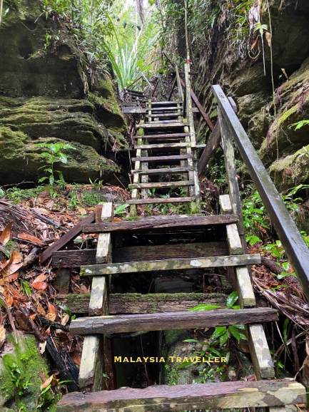 wooden steps on the Telok Sapi Trail