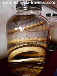 Snakes in Jars Snakes in Jars