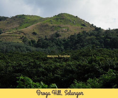 Broga Hill - Bukit Broga