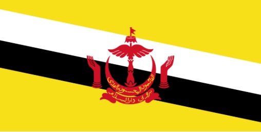 Brunei flag Brunei flag