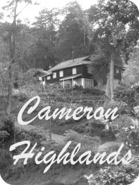 Cameron Highlands Boh Tea Estate Cameron Highlands Boh Tea Estate