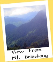 View from Mt. Brinchang, Cameron Highlands View from Mt. Brinchang, Cameron Highlands