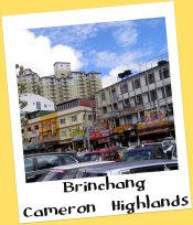 Brinchang, Cameron Highlands, Malaysia Brinchang, Cameron Highlands, Malaysia