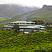 Cameron Highlands Tea Estate Cameron Highlands Tea Estate