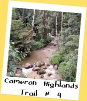 Trail # 4, Cameron Highlands Trail # 4, Cameron Highlands