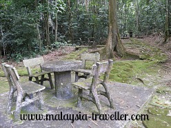 Picnic under the trees at Commonwealth Forest Park