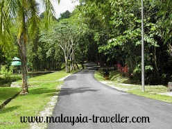 Road inside Commonwealth Forest Park