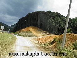 Road Construction near Commonwealth Forest Park
