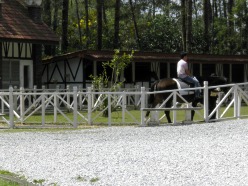 Fraser's Hill Horse Riding