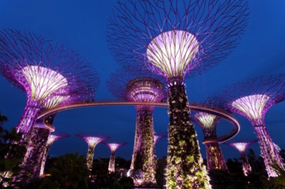 Gardens By The Bay