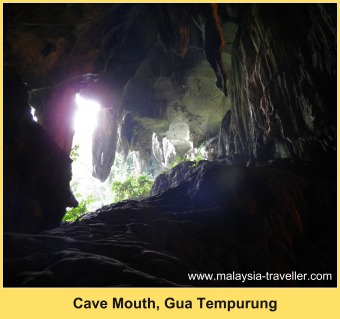 Looking back towards the mouth of Gua Tempurung.