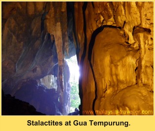 Stalactites near the main entrance of Gua Tempurung.