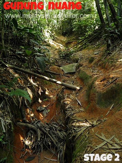 Hutan rekreasi gunung nuang