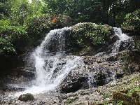 Malaysian National Parks Jeram Tengkek