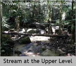 Which way to Gunung Telapak Buruk? Which way to Gunung Telapak Buruk?