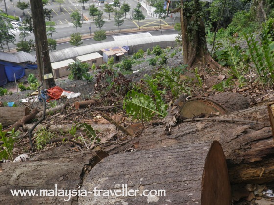KL Forest Eco Park shrinking KL Forest Eco Park shrinking