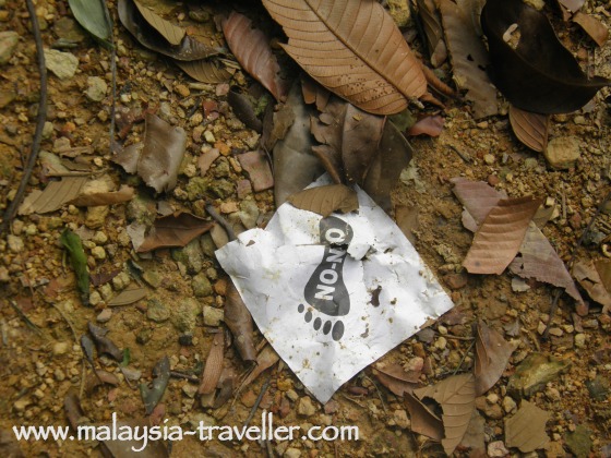 KL Forest Eco Park hash KL Forest Eco Park hash
