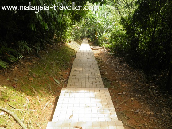 KL Forest Eco Park footpath KL Forest Eco Park footpath