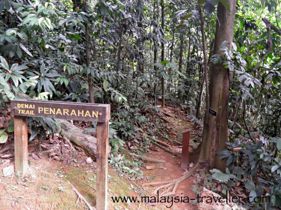 KL Forest Eco Park hiking trail KL Forest Eco Park hiking trail
