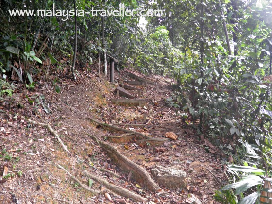 KL Forest Eco Park natural trail KL Forest Eco Park natural trail